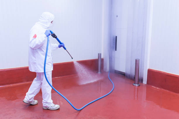 Best Dumpster Area Cleaning  in Danville, VA