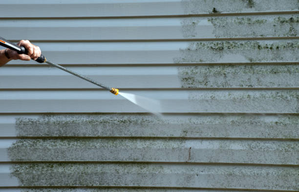 Best Warehouse Cleaning  in Danville, VA
