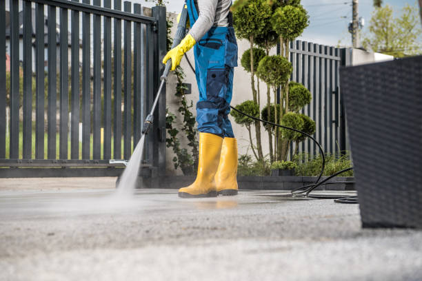 Best Sidewalk and Walkway Cleaning  in Danville, VA
