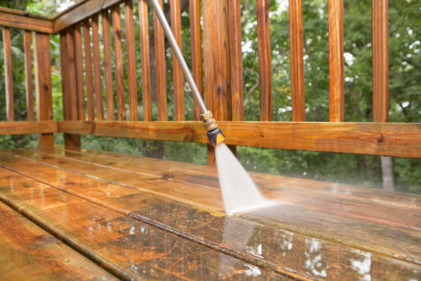 Best Animal Enclosure Cleaning  in Danville, VA